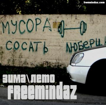 FreemindaZ Зима Лето