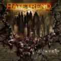 Hatetrend - Violated